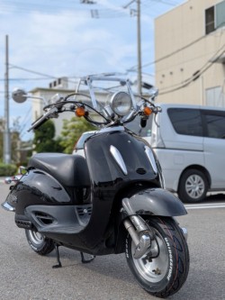 �z���_�W���[�J�[50�i�����������s�j�摜7