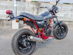 �z���_�G�C�v50�i�����������s�j�摜7