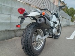 �X�Y�L�o���o��200�i�����������s�j�摜8