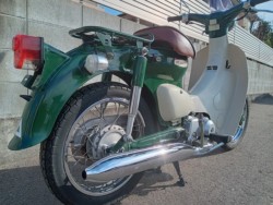 �z���_���g���J�u�i�����������s�j�摜8