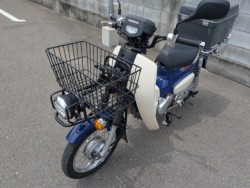�z���_�X�[�p�[�J�u50�v���i�����������s�j�摜7