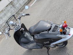 �z���_�W���[�J�[50�i�����������s�j�摜8