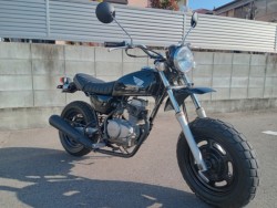 �z���_�G�C�v50�i�����������s�j�摜8