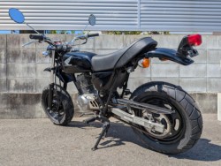 �z���_�G�C�v50�i�����������s�j�摜9