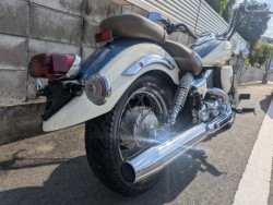 ���}�n�h���b�O�X�^�[250�i�����������s�j�摜4