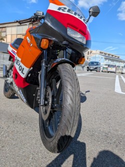 �z���_NS-1�i�����������s�j�摜7
