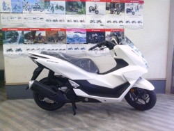 z_ PCX 