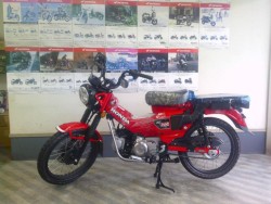 z_CT125immsj摜2
