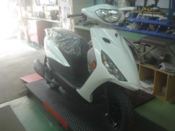 ���}�n�A�N�V�XZ�i���m�����m�s�j�摜1