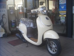 �z���_�W�����m�i���m�����m�s�j�摜2