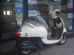 �z���_�W�����m�i���m�����m�s�j�摜3