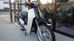 �z���_�X�[�p�[�J�u110�i���m���썑�s�j�摜4