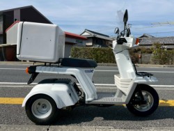 �W���C��X