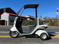 �z���_�W���C���L���m�s�[�i���m�����m�s�j�摜2