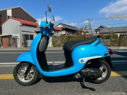 �z���_�W�����m�i���m�����m�s�j�摜2