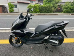 �z���_PCX�i���m�����m�s�j�摜2