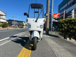 �z���_�W���C���L���m�s�[�i���m�����m�s�j�摜3