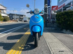 �z���_�W�����m�i���m�����m�s�j�摜3