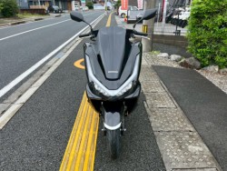 �z���_PCX�i���m�����m�s�j�摜3