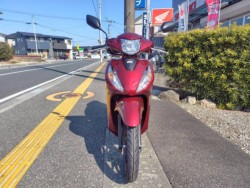 �z���_Dio110 Lite�i���m�����m�s�j�摜3