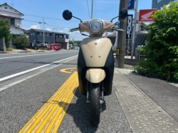 �X�Y�L���b�c�i���m�����m�s�j�摜3
