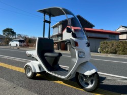 �z���_�W���C���L���m�s�[�i���m�����m�s�j�摜4