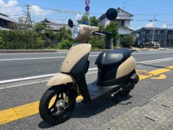 �X�Y�L���b�c�i���m�����m�s�j�摜4