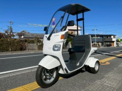 �z���_�W���C���L���m�s�[�i���m�����m�s�j�摜5