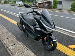 �z���_PCX�i���m�����m�s�j�摜5