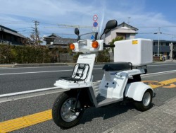 �z���_�W���C��X�i���m�����m�s�j�摜5