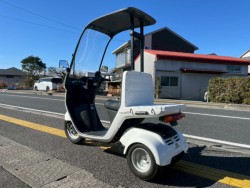 �z���_�W���C���L���m�s�[�i���m�����m�s�j�摜6