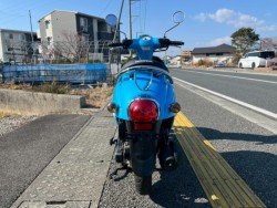 �z���_�W�����m�i���m�����m�s�j�摜6