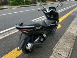 �z���_PCX�i���m�����m�s�j�摜7