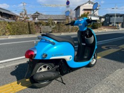 �z���_�W�����m�i���m�����m�s�j�摜8