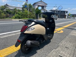�X�Y�L���b�c�i���m�����m�s�j�摜8