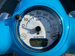 �z���_�W�����m�i���m�����m�s�j�摜9