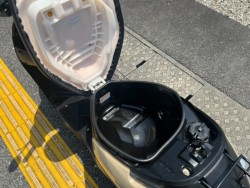 �X�Y�L���b�c�i���m�����m�s�j�摜10