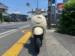 �z���_�W�����m�i���m�����m�s�j�摜3
