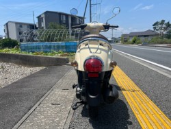 �z���_�W�����m�i���m�����m�s�j�摜6