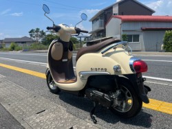 �z���_�W�����m�i���m�����m�s�j�摜8