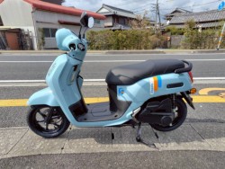 ���}�nFazzio�i���m�����m�s�j�摜2