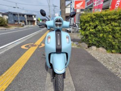 ���}�nFazzio�i���m�����m�s�j�摜3