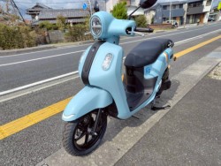 ���}�nFazzio�i���m�����m�s�j�摜4