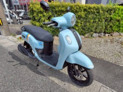 ���}�nFazzio�i���m�����m�s�j�摜5