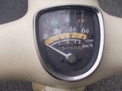 �z���_���g���J�u�i���m������s�j�摜2