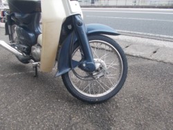 �z���_�X�[�p�[�J�u50�i���m������s�j�摜9