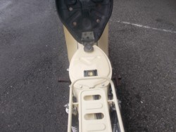 �z���_���g���J�u�i���m������s�j�摜8