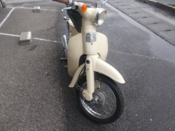 �z���_���g���J�u�i���m������s�j�摜10