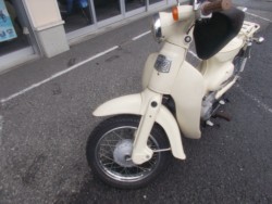 �z���_���g���J�u�i���m������s�j�摜15