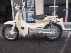 �z���_���g���J�u�i���m������s�j�摜1